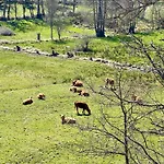 Casa Rural Ucedo * Ucedo