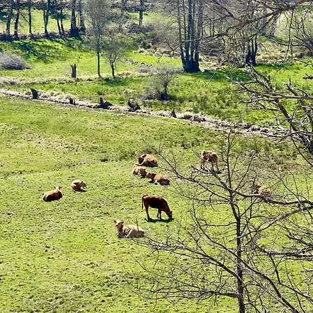 Casa Rural Ucedo * Ucedo