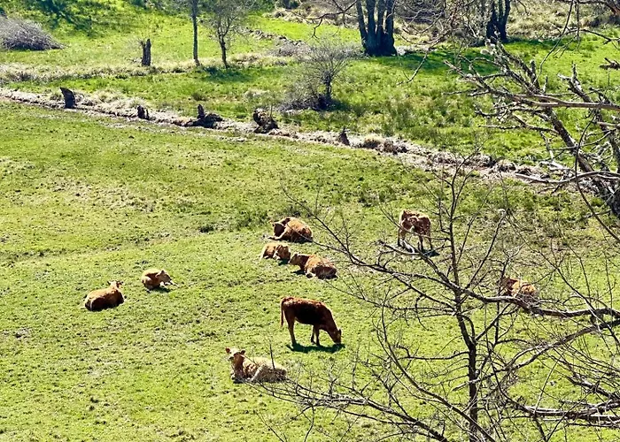 Casa Rural Ucedo * Ucedo